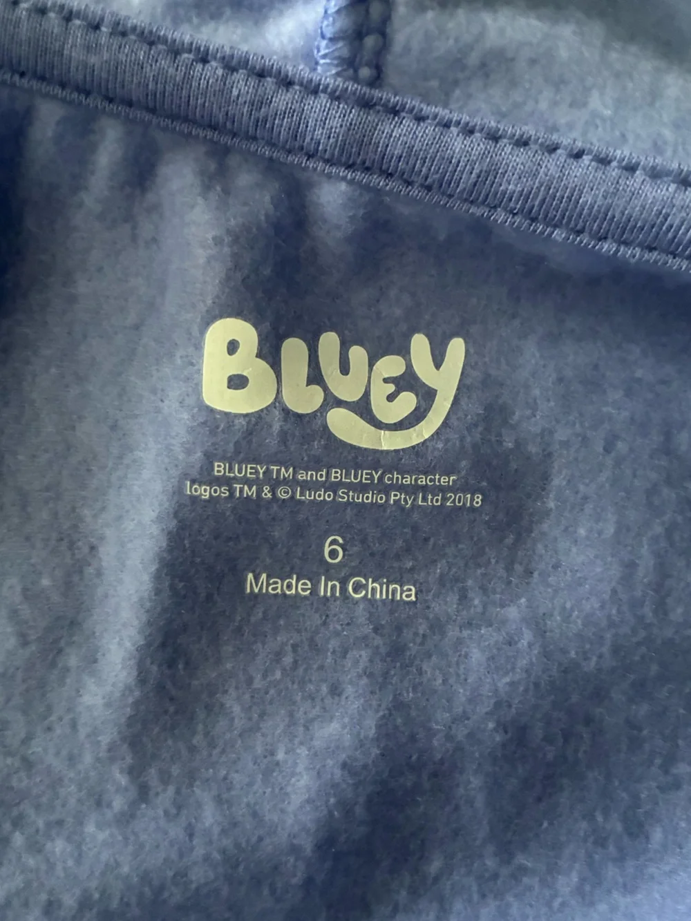 Bluey Girls Clothing Bundle with Earrings Size 6